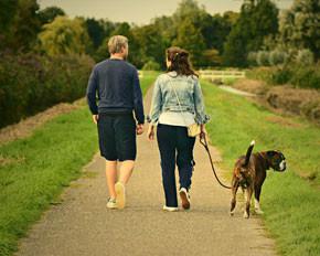 Dog Walking Ireland