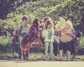 Pet Sitting Ireland